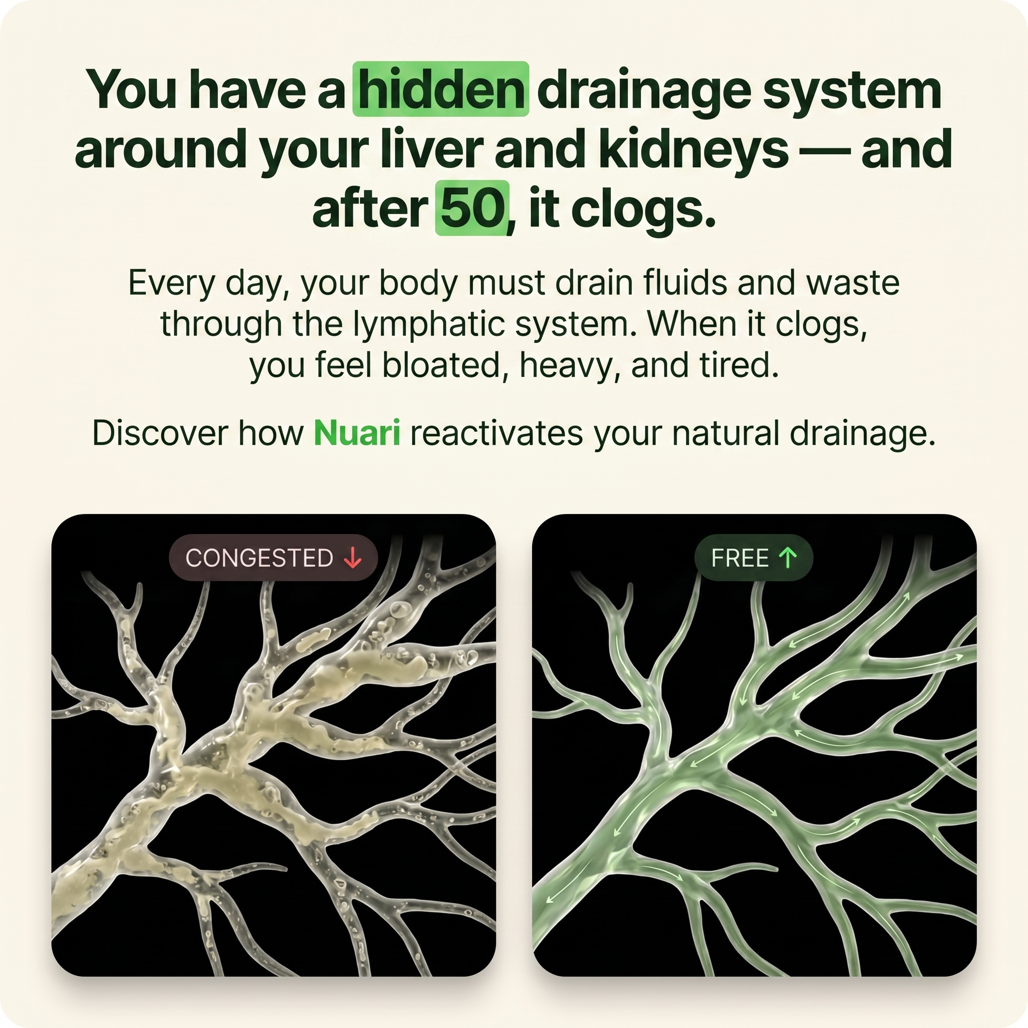 Your hidden drainage system clogs after 50