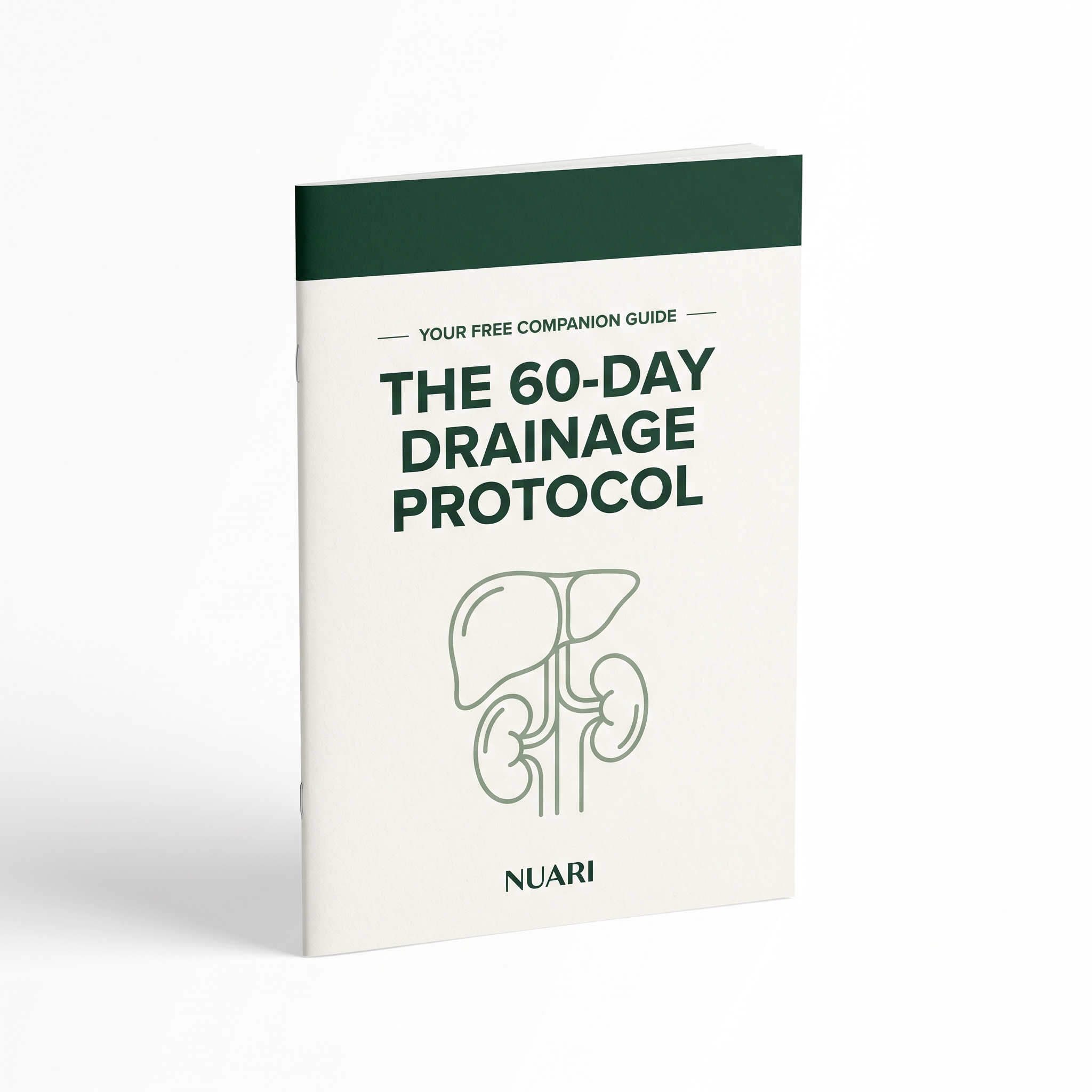 The 60-Day Drainage Protocol - free guide